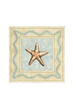 Shell Collector III by Megan Meagher art print