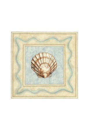 Shell Collector IV by Megan Meagher art print