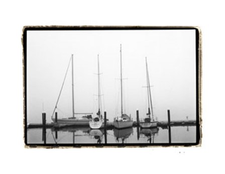 Still Waters by Laura Denardo art print
