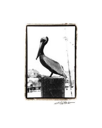 Pelican Perch by Laura Denardo art print