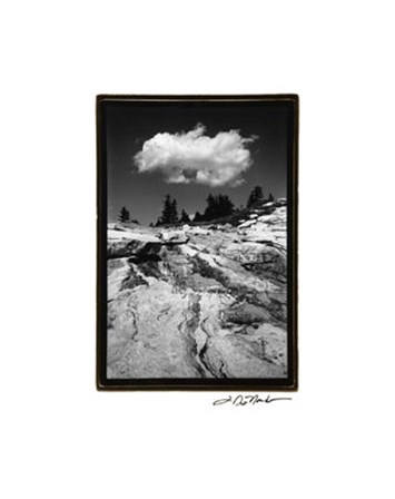 Cloud Dream by Laura Denardo art print