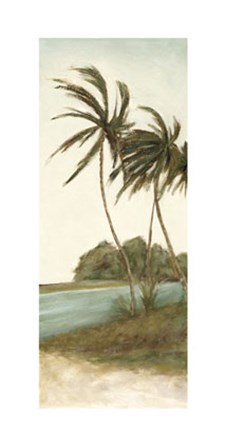 Trish&#39;s Palms II by Chariklia Zarris art print