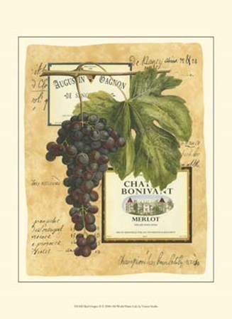 Small Red Grapes II by Vision Studio art print
