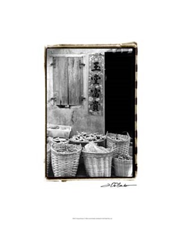 Chinese Bounty by Laura Denardo art print
