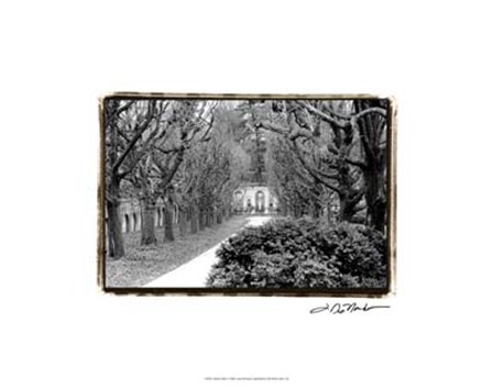 Garden Walk by Laura Denardo art print