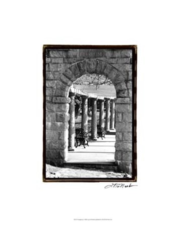 Passageway by Laura Denardo art print