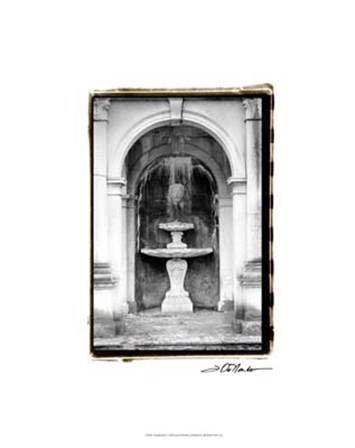Fountainhead by Laura Denardo art print
