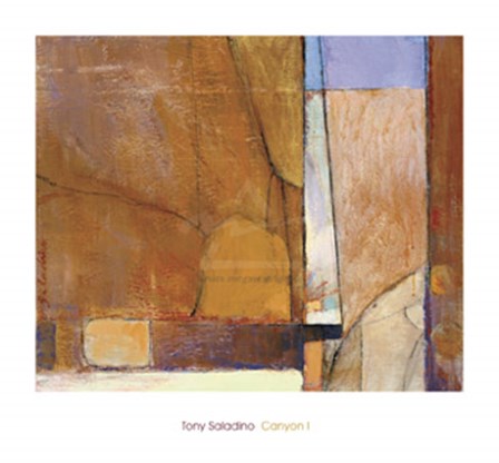 Canyon I by Tony Saladino art print