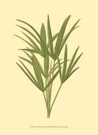 Terra Collection I art print