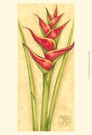 Red Heliconia by Jennifer Goldberger art print