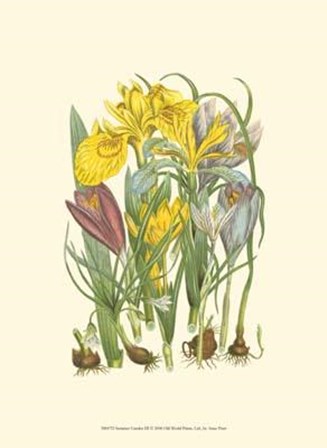 Summer Garden III by Anne Pratt art print