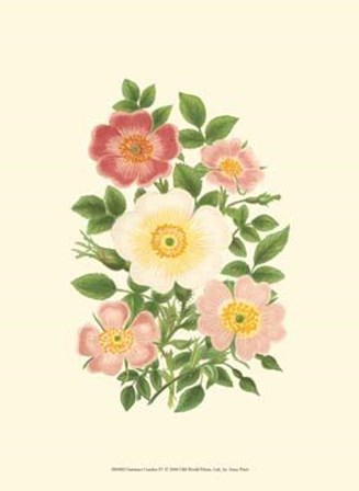 Summer Garden IV by Anne Pratt art print