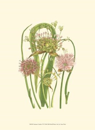 Summer Garden VI by Anne Pratt art print