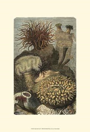 Under The Sea II art print