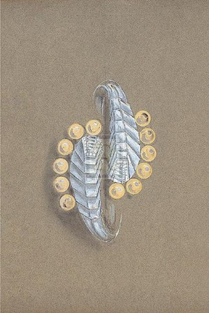 Jewellery Designs V art print