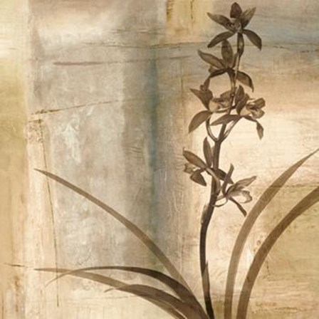 Shadow Dance II by Chris Donovan art print