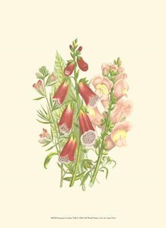 Summer Garden VIII by Anne Pratt art print