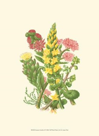 Summer Garden X by Anne Pratt art print