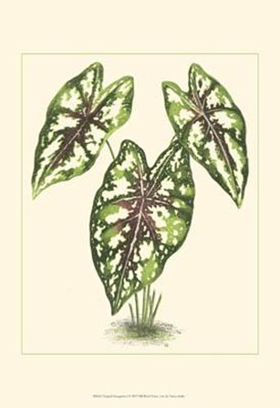 Tropical Variegation I by Vision Studio art print