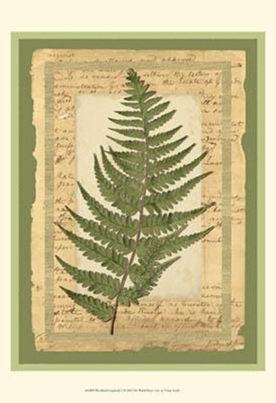 Woodland Scrapbook II by Vision Studio art print