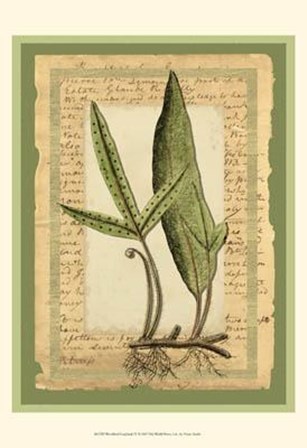 Woodland Scrapbook IV by Vision Studio art print