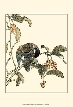Oriental Bird On Branch IV by Vision Studio art print
