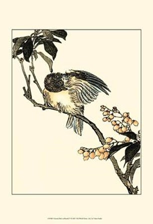 Oriental Bird On Branch V by Vision Studio art print