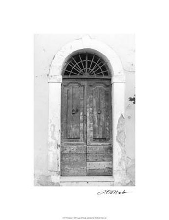 Enduring by Laura Denardo art print