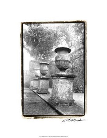 Italian Garden II by Laura Denardo art print