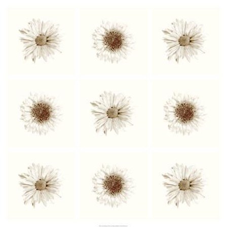 Neutral Bouquet by Jason Johnson art print