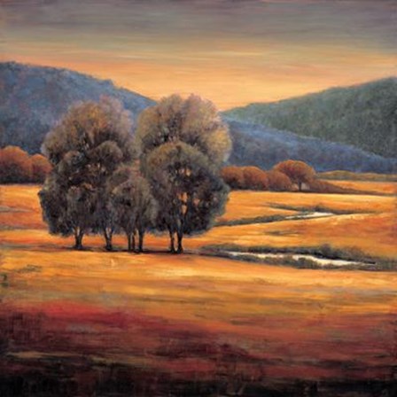 In All Its Glory I by Jeffery Leonard art print