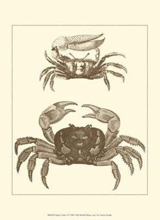 Sepia Crabs I art print