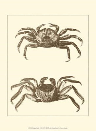 Sepia Crabs II art print