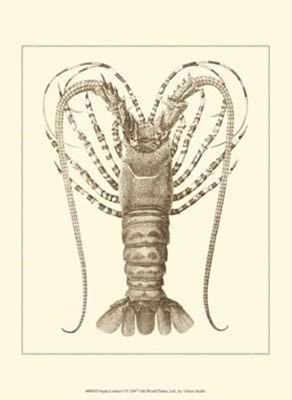 Sepia Lobster I art print