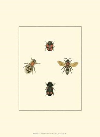 Insecte I art print