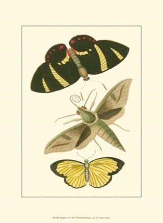 Papillion II art print