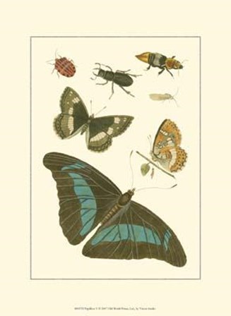 Papillion V art print