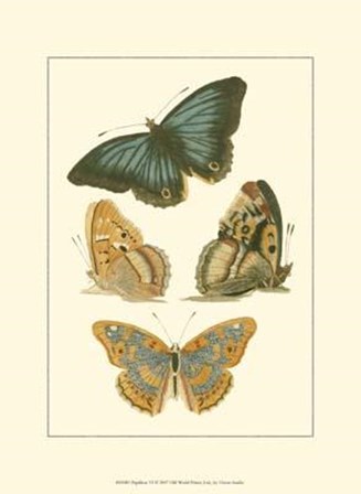 Papillion VI art print