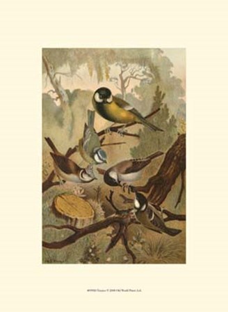 Titmice art print