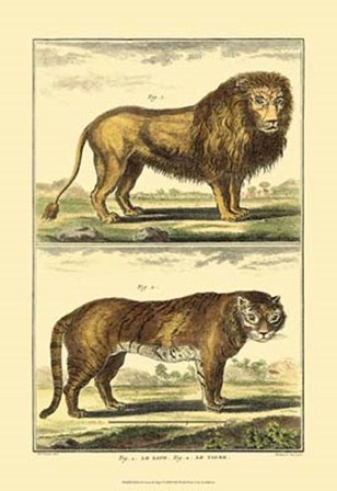 Lion and Tiger by Denis Diderot art print