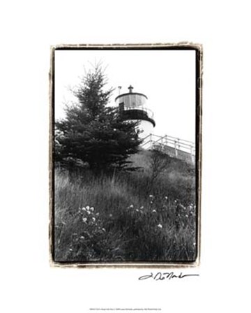 Owl&#39;s Head with Tree by Laura Denardo art print