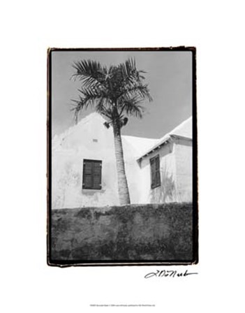 Bermuda Shade by Laura Denardo art print