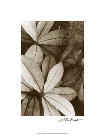 Garden Textures I by Laura Denardo art print
