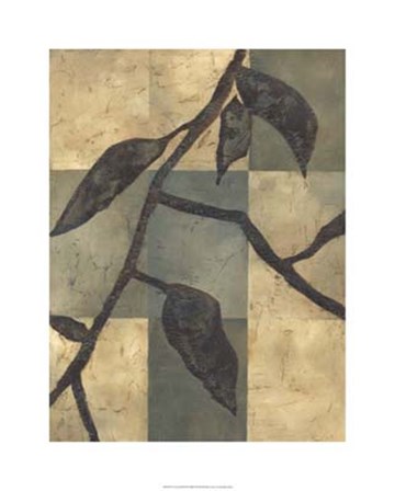 Tortoise Shell II by Chariklia Zarris art print