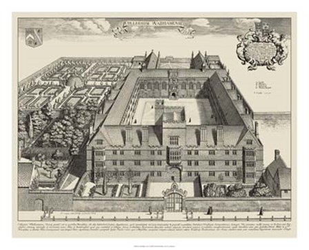Cambridge View art print