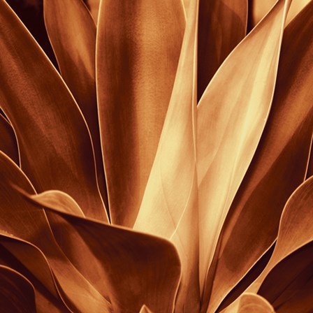 Santa Fe I by Curtis Kelly art print