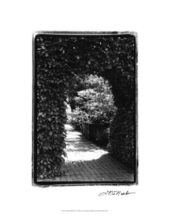 Garden Hideaway IV by Laura Denardo art print