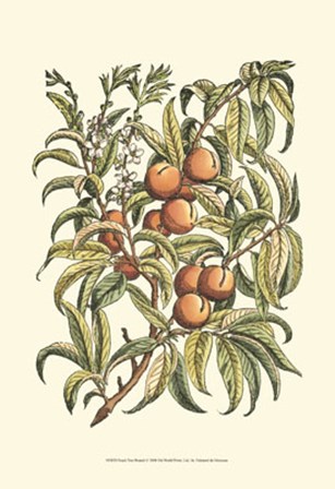 Peach Tree Branch by Duhamel De Monceau art print