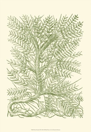 Mossy Branches III by Duhamel De Monceau art print