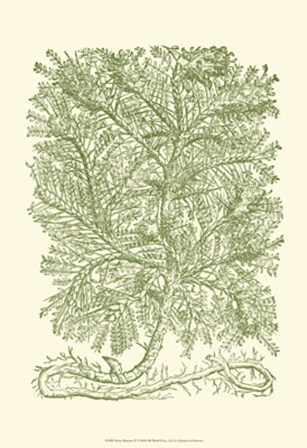 Mossy Branches IV by Duhamel De Monceau art print